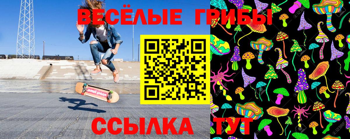 Краснокаменск  Псилоцибиновые грибы GOLDEN TEACHER  Вход с VPN 