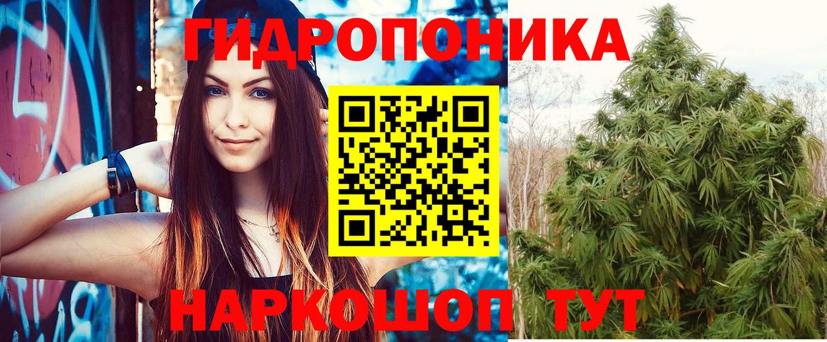 Бошки Шишки планчик  Канабис Ganja  Краснокаменск  Вход с VPN  Каннабис планчик 